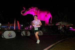 BIB: 
                            <button type="button" onclick="openModal(26542959)" class="btn btn-primary btn-sm float-right btn-popup" data-toggle="modal" data-target=".modal-high-quality">
                        <i class="fas fa-shopping-cart"></i> Add to Cart
                    </button>
                                            <button type="button" onclick="isThisMe(26542959, true)" class="btn btn-success btn-sm float-right btn-popup btn-isme hidden" data-toggle="tooltip" data-placement="bottom" title="นี่คือรูปของคุณใช่ไหม คลิกที่นี่เพื่อเอาเข้าอัลบั้ม">
                        <i class="fas fa-plus"></i> Add to album
                    </button>
                    <button type="button" onclick="isThisMe(26542959, false)" class="btn btn-warning btn-sm float-right btn-popup btn-isnotme hidden">
                        <i class="fas fa-ban"></i> Remove from album
                    </button>